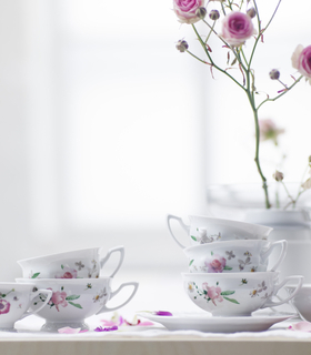 R_MariaPinkRose_885x885