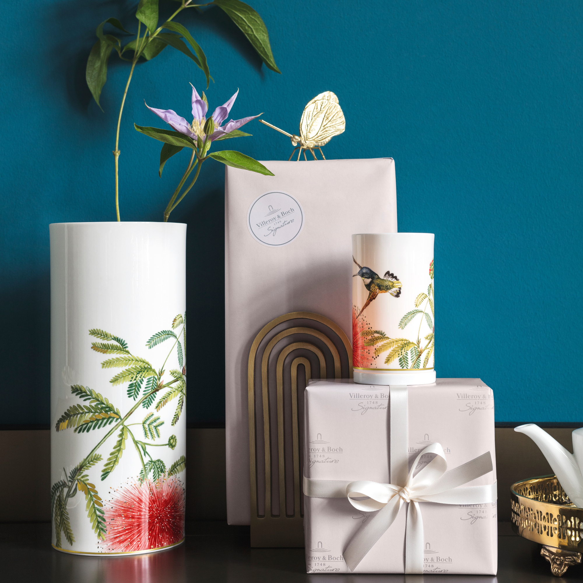 Amazonia gift