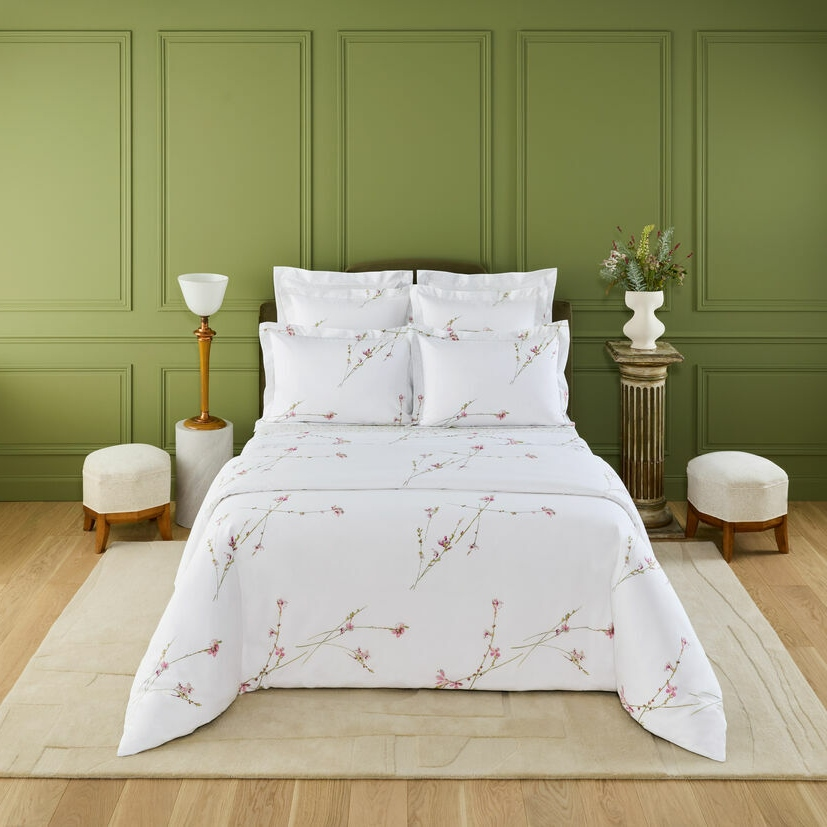 Gaura