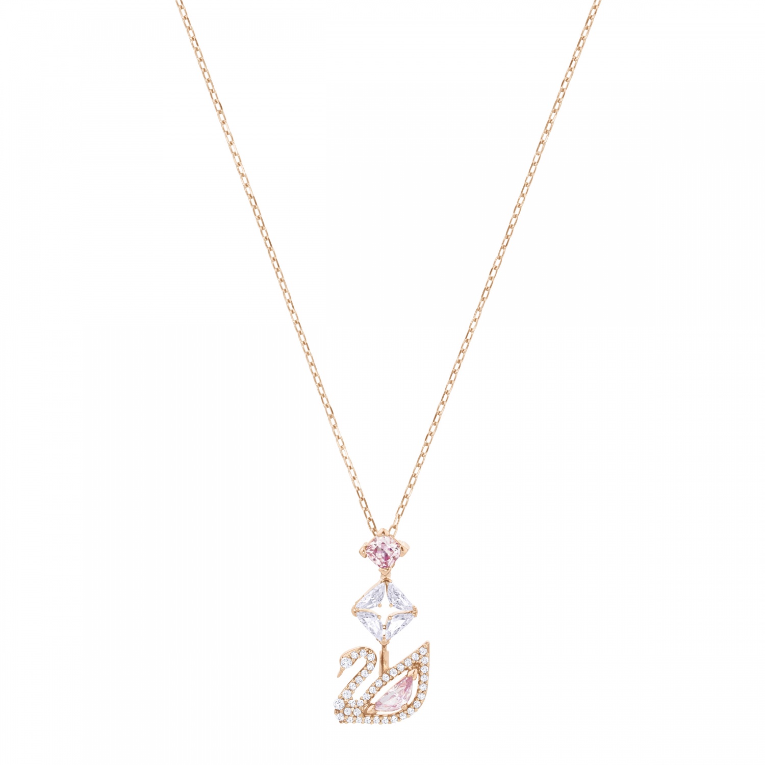 Swan