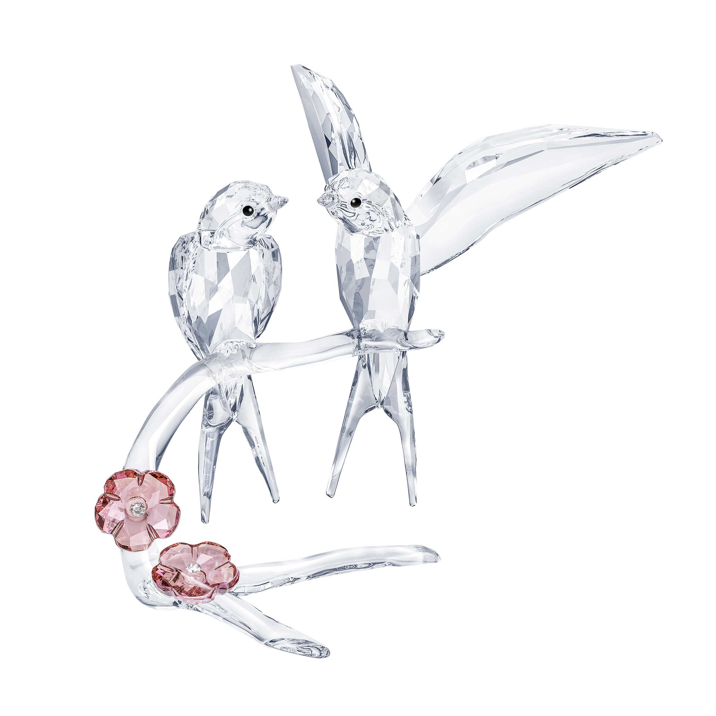 Feathered Beauties