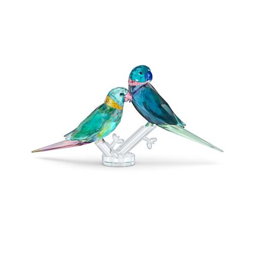 Papagaiļu pāris Fife un Fifer Jungle Beats Swarovski