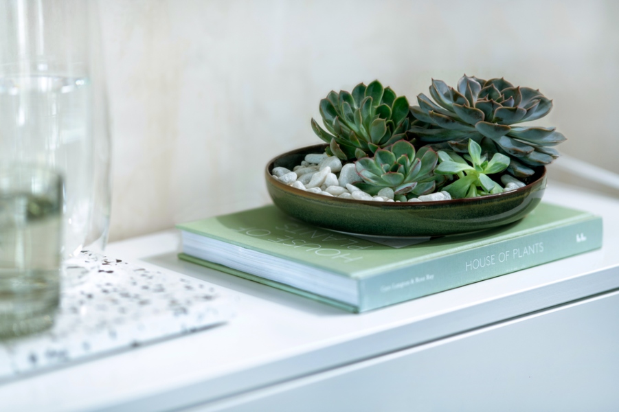 Zupas šķīvis 21,5 cm Crafted Breeze Villeroy & Boch 4