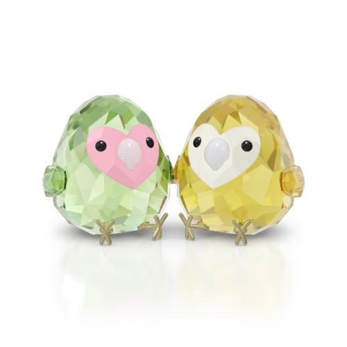 Love Bird Couple