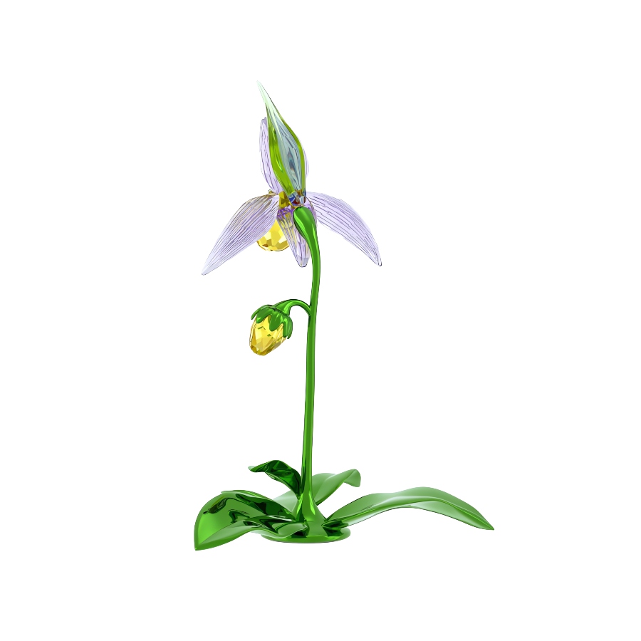 Lady Slipper Orchid Florere Swarovski 3