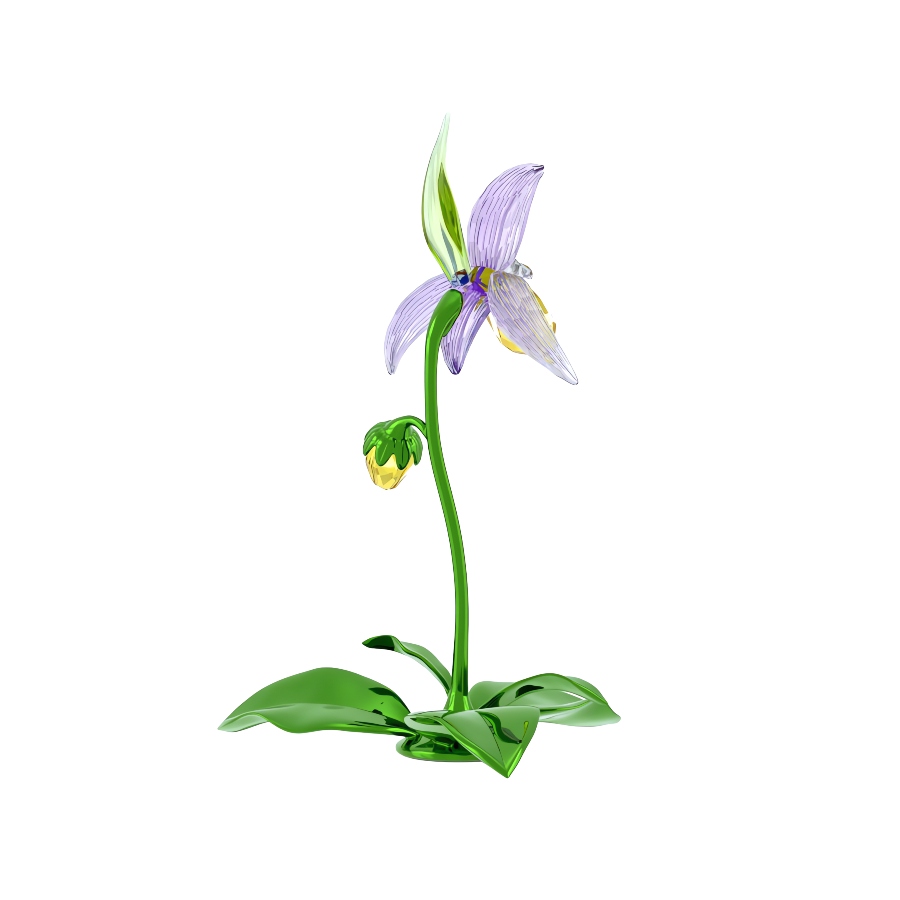 Lady Slipper Orchid Florere Swarovski 4