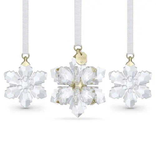 3D Ornament Set 2026