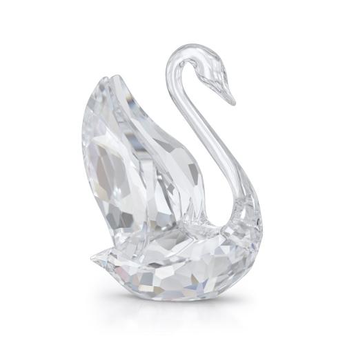 Swan, Small