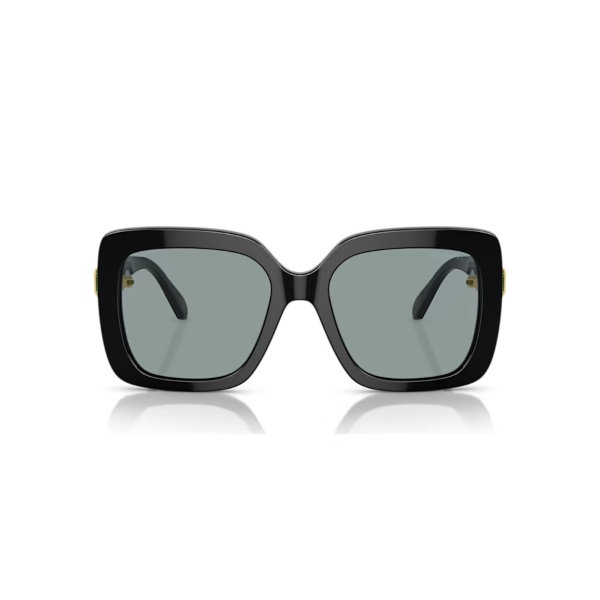 Sunglasses, Oversized, Square shape, Black Lucent Swarovski