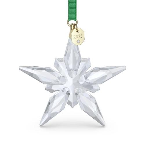 Ornament 2025
