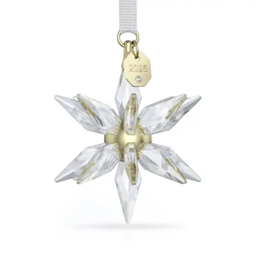 3D Ornament 2025