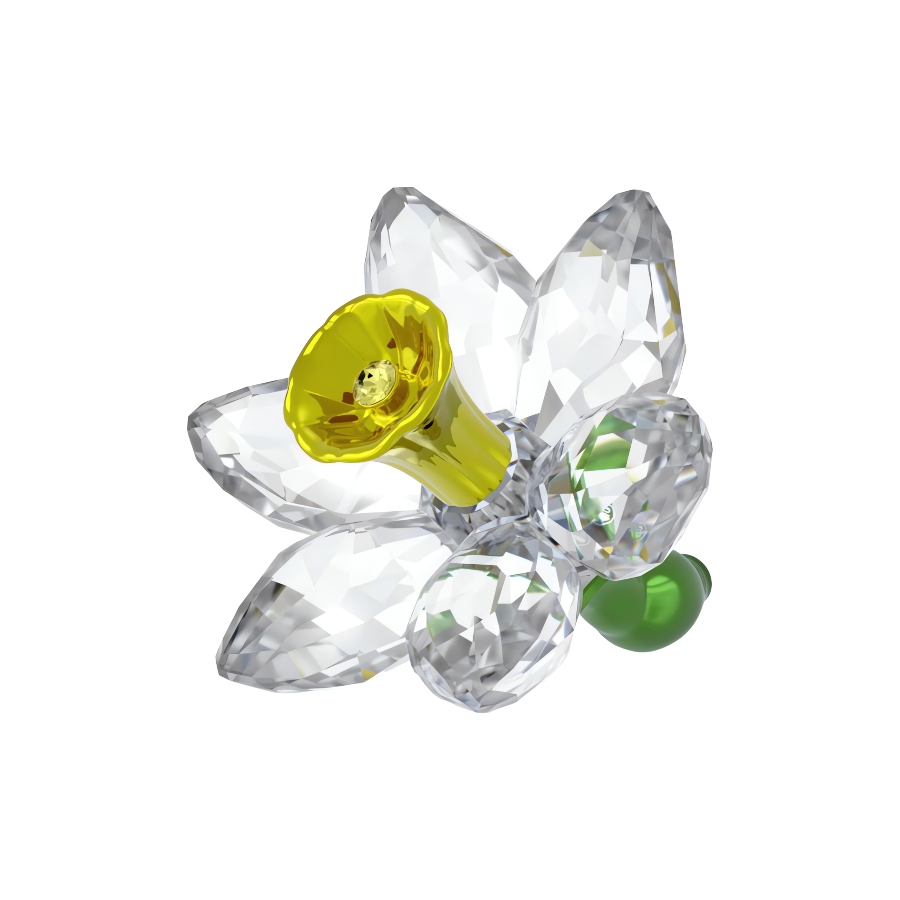 Daffodil Florere Swarovski 2