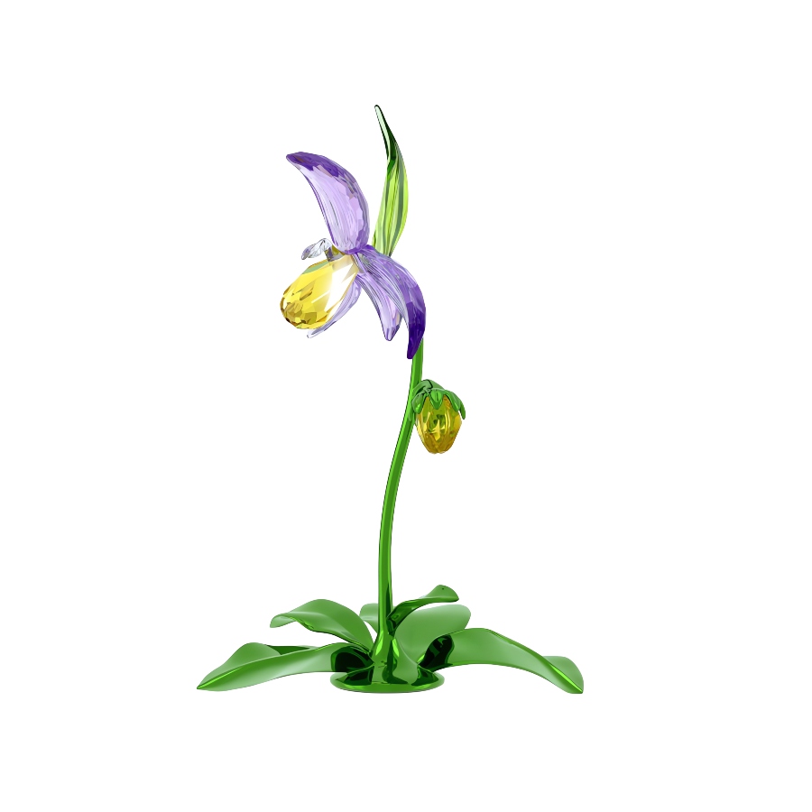 Lady Slipper Orchid Florere Swarovski 2