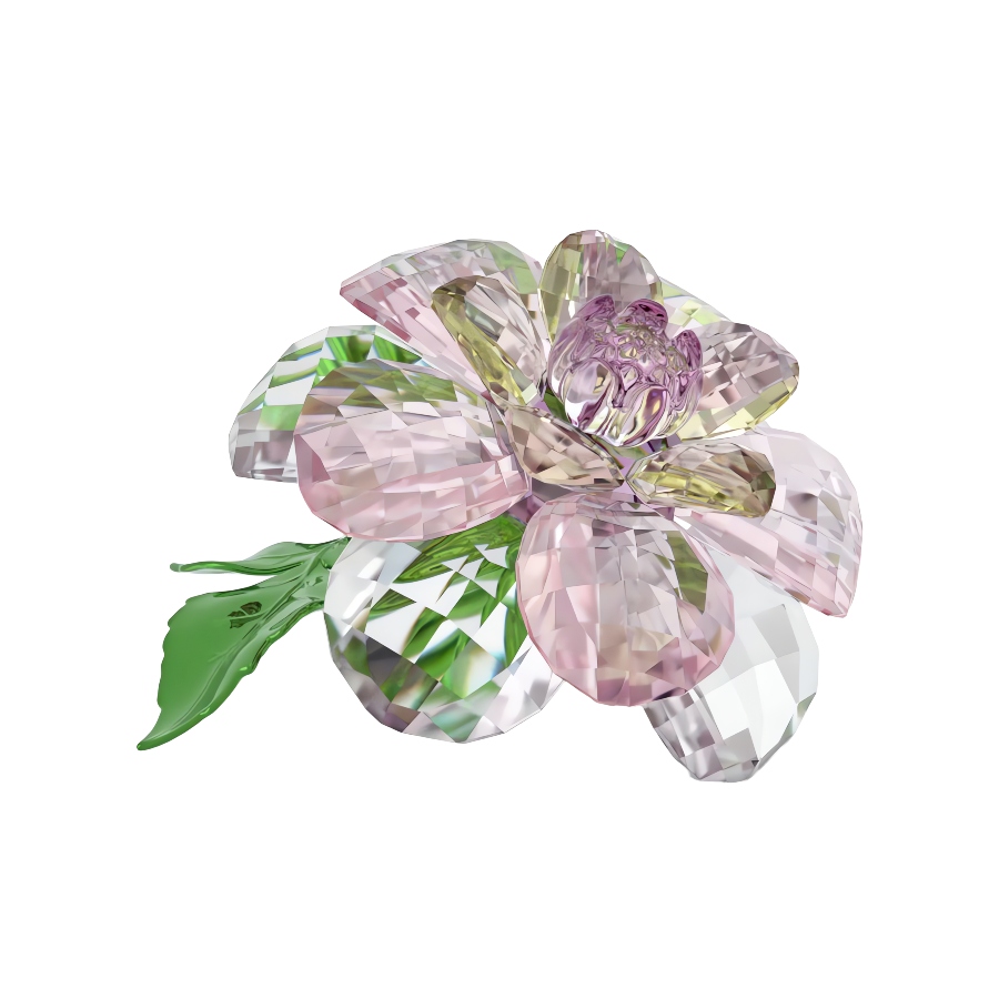 Camellia Florere Swarovski 4
