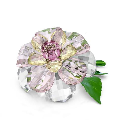 Камелия Florere Swarovski