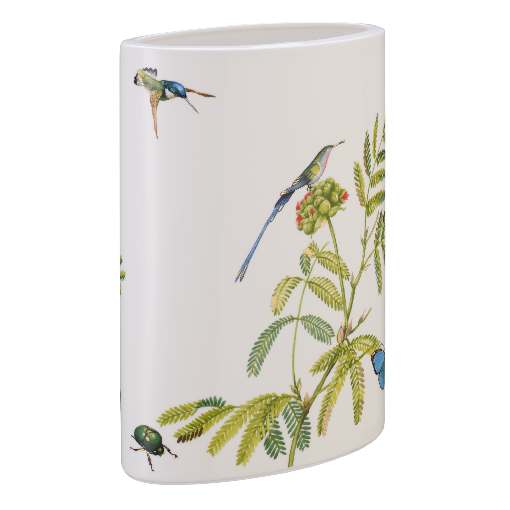 Amazonia gift