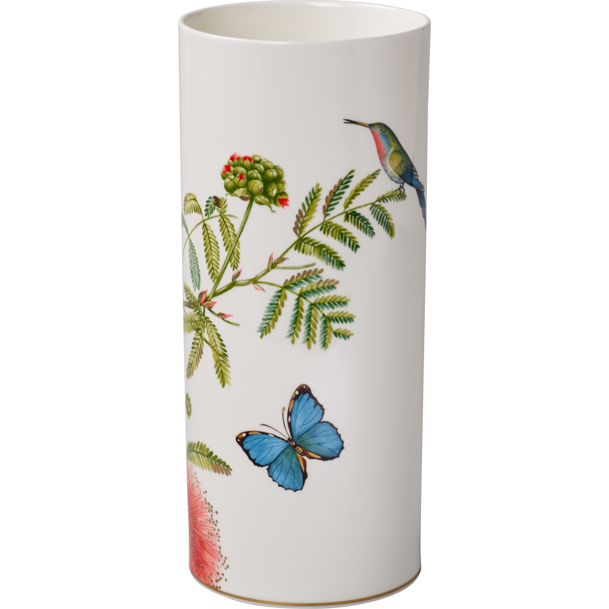 Amazonia gift