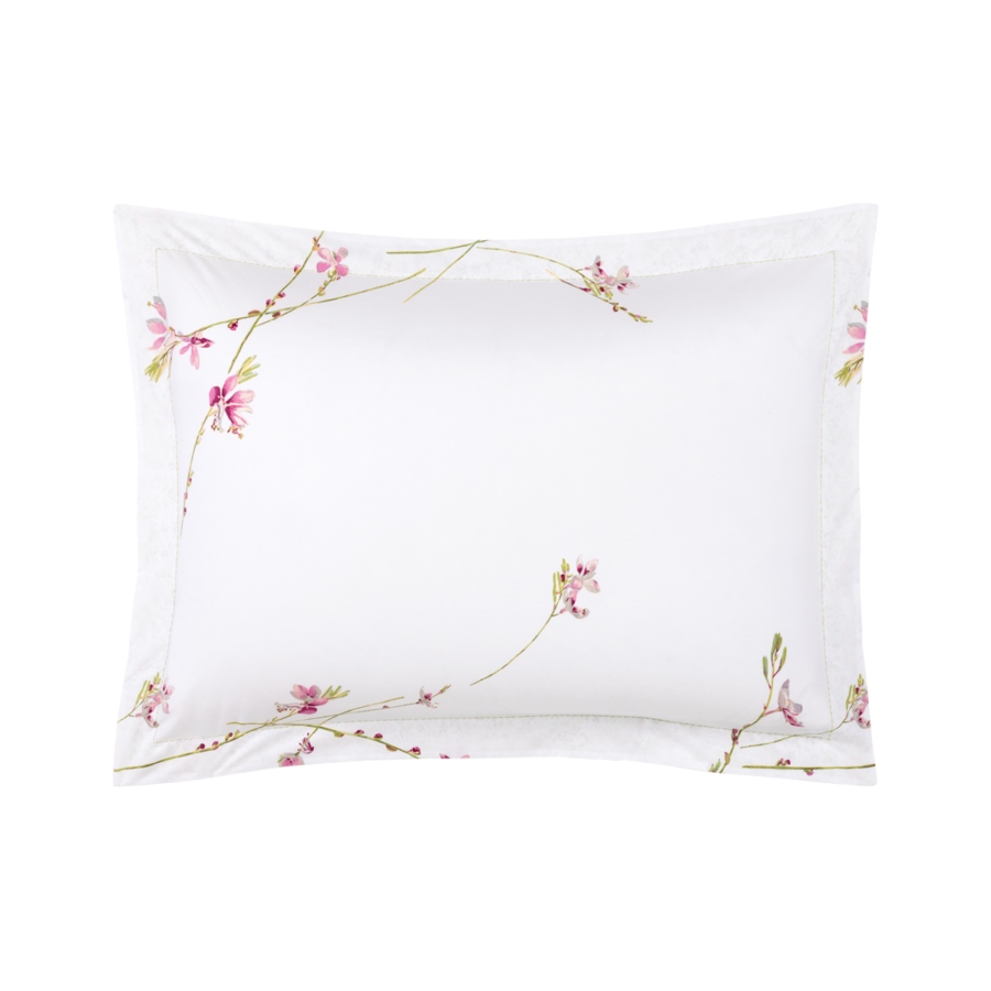 Gaura