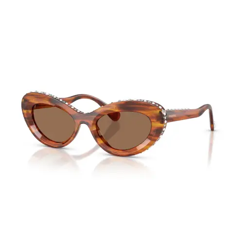 Sunglasses, Cat-eye shape, SK6061U, Brown Matrix Swarovski